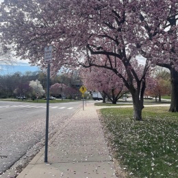 Spring has arrived at Fountain View on the Plaza! 