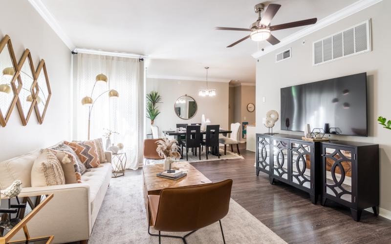 furnished living room